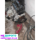 Двигун мотор Audi A1 1.6 TDI CXM 85 кВт 115 к.с. 2010 1.6 дизель.