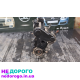 Двигун мотор CBA 2.0 TDI для Seat Altea, Leon, Skoda A5, Golf 6, Passat. Випущений у 2010 році. Об'єм двигуна - 2.0 літра, працює на дизельному паливі.
