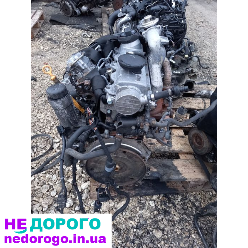 Двигун мотор 1.9 тді 66 81 Шкода Октавія Тур Гольф 4 AGR.