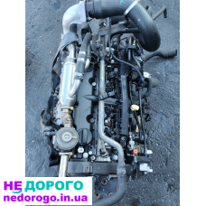 Двигун мотор Fiat Ducato 2.0 PSA RHV 10DYER 1994-2006, 2.0 л, бензин.