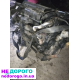 Двигун Ford Fusion 1.4 Tdci Mazda 2 Fiesta F6JA 68KM, 2002, 1.4 л, дизель.