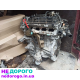 Двигун мотор Kia Hyundai Sonata Sorento Sportage Tucson Ceed Cerato, 2019, 2.0 л, бензин.