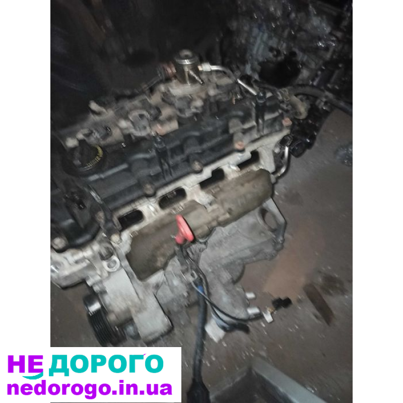 Двигун Mazda Skyactiv-G, CX-5, 2019, 2.5 л бензин.
Двигун Toyota VVT-i, Corolla, 2018, 1.8 л бензин.
Двигун Nissan HR16DE, Qashqai, 2017, 1.6 л бензин.
Двигун Lexus V6, RX350, 2020, 3.5 л бензин.
Двигун Kia Gamma, Sportage, 2016, 2.0 л бензин.
Двигун Hyun