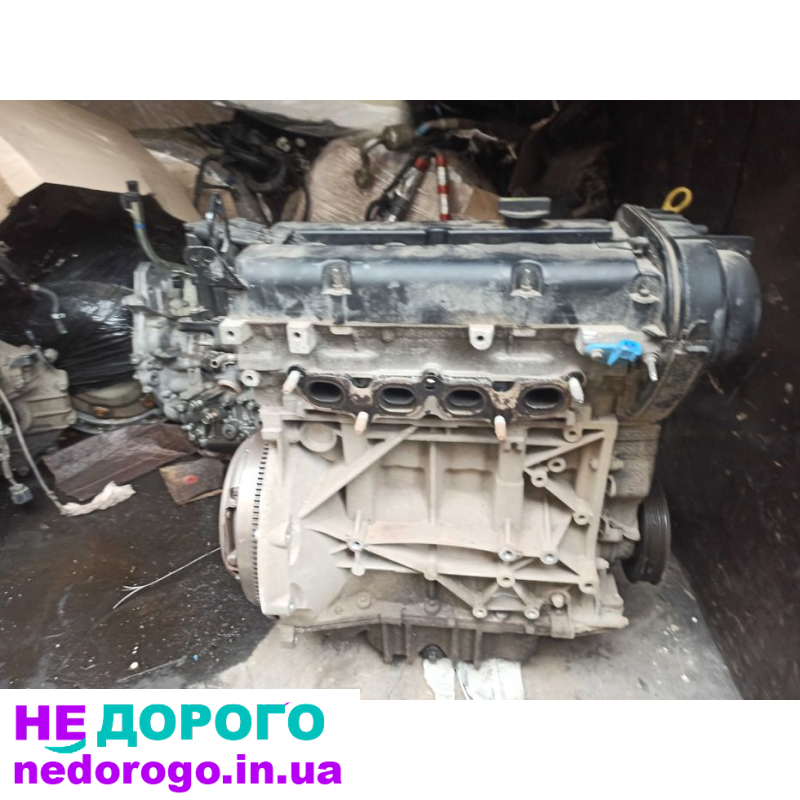 Двигун Mazda Skyactiv-G, CX-5, 2019, 2.5 л бензин.
Двигун Toyota VVT-i, Corolla, 2018, 1.8 л бензин.
Двигун Nissan HR16DE, Qashqai, 2017, 1.6 л бензин.
Двигун Lexus V6, RX350, 2020, 3.5 л бензин.
Двигун Kia Gamma, Sportage, 2016, 2.0 л бензин.
Двигун Hyun