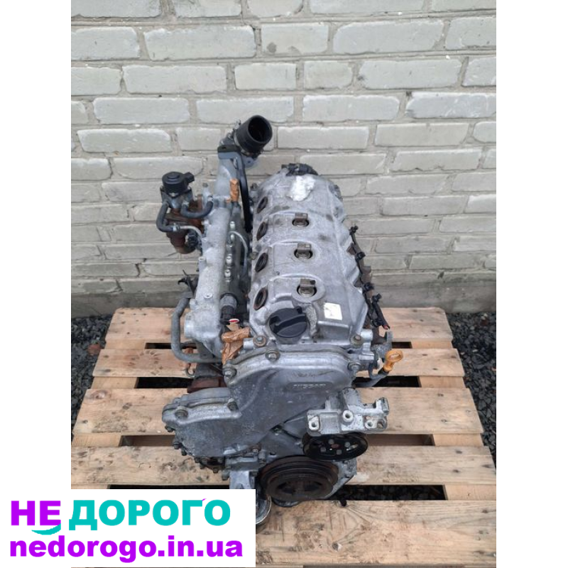Двигун Nissan YD22 для X-trail, Primera, Almera. 2.2 л, дизель, 2000 рік.