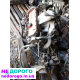 Двигун Peugeot J5 Fiat Ducato Alfa Romeo 1.9 Tdi, 1994, 1.9 л, дизель.