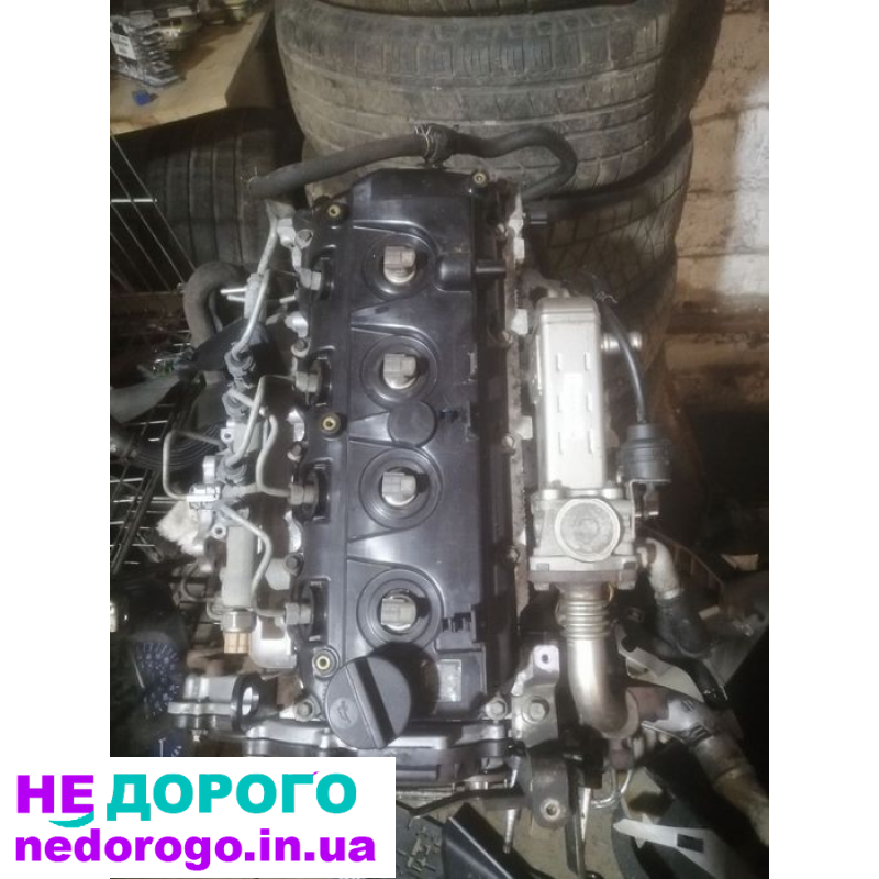 Двигатель мотор qg 15 de 16 18 qr20 qr25 yd 22 25Navara