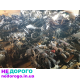 Двигун Subaru FB20 2015 2.0 бензин. Subaru FB25 2017 2.5 бензин. Subaru 20Z 2016 2.0 бензин. Subaru EJ204 2014 2.0 бензин. Subaru EJ205 2013 2.0 бензин. Subaru EJ255 2018 2.5 бензин. Subaru EJ 2019 2.0 бензин.