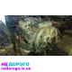 Двигун Volvo 400 440 480 Рено Магнум DXI-12, 2008, 12 л, дизель.