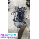 Двигун Nissan Sentra 2019, 1.8 л, бензин.