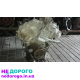 Двигун Nissan Teana J32 2.5i VQ25DE, 2011 рік, 2.5 л, бензин.
