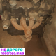 Двигун Opel C20NE 2.0 TDI, 1995 рік, бензин, 2.0 л.