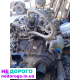 Двигун Mazda LF-DE, 1.8 л, бензин, випущений у 2001 році.