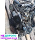 Двигун Peugeot 307, б/у, 1.9 дизель, українська версія, 2005 рік, об'єм 1.9 л, паливо - дизель.