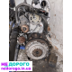 Двигун Peugeot Boxer 2.5д.v12, 2005, 2.5 л, дизель.