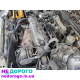 Двигун Honda F20Z1, Rover 600, 1993, 2.0 л, бензин. Відео роботи українською за правилами мерчант гугл.