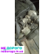 Двигун RENAULT 1.9DTI F9Q 2001 1.9л дизель.