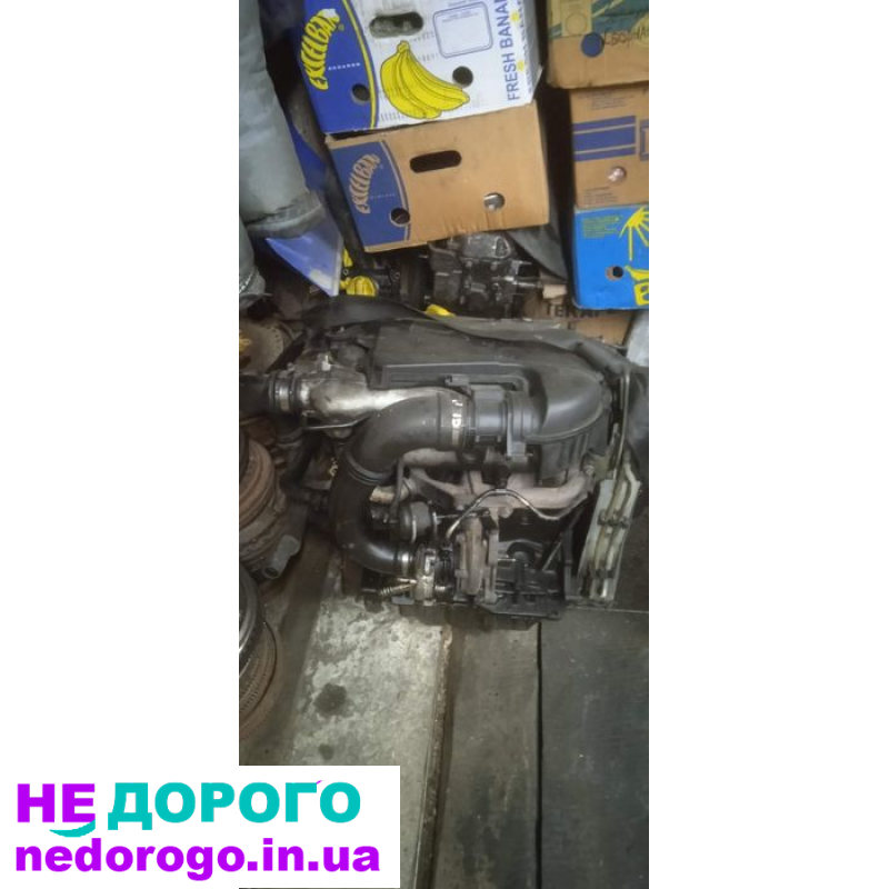 Двигун RENAULT 1.9DTI F9Q 2001 1.9л дизель.