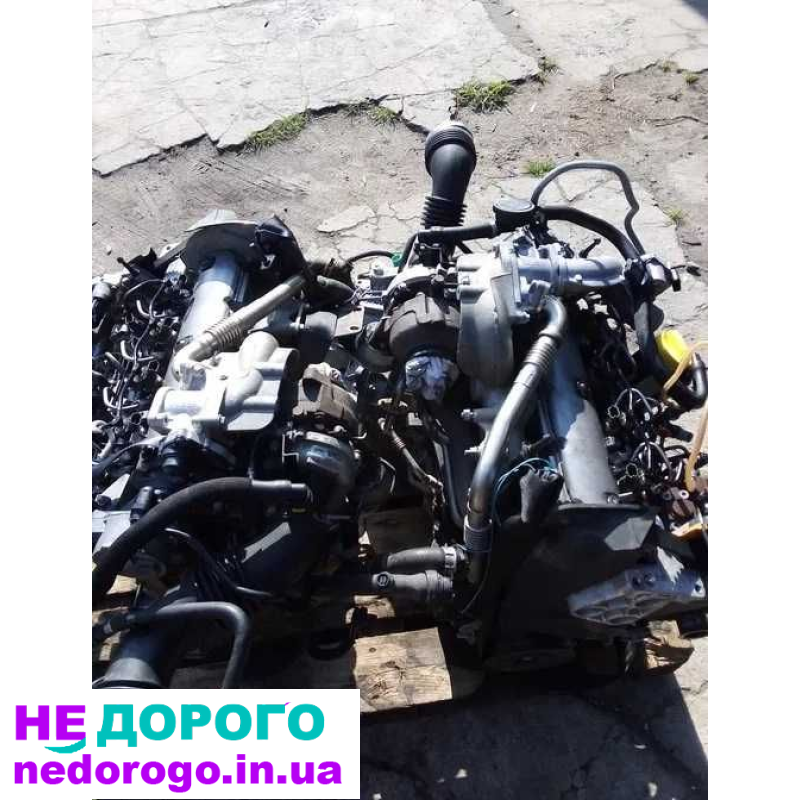 Двигун Renault 1.9 F9Q, Меган, Кенго, 2000 рік, 1.9 л, дизель.