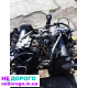 Двигун Renault 1.9 F9Q, Меган, Кенго, 2000 рік, 1.9 л, дизель.