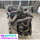 Двигун Renault 1.9 F9Q, Меган, Кенго, 1999, 1.9 л, дизель.