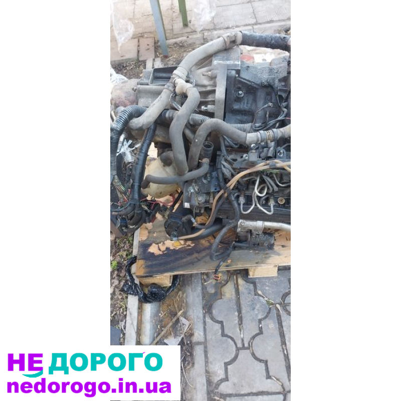 Двигун Renault Kangoo 1.5 dCi, 2008, 1.5 л, дизель.