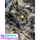 Двигун Renault Kango 1.9 DTI, 2002, 1.9 л, дизель.