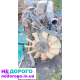 Двигун Рено Магнум 480 DXi, Мідлум 220 DXi, 2008, 12.8 л, дизель.