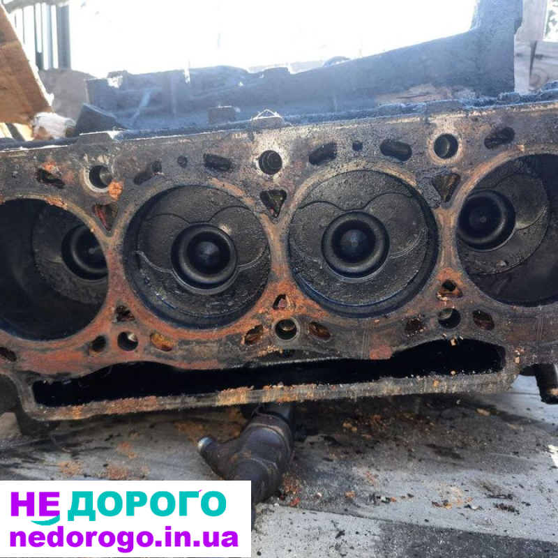 Двигун Renault F9K 1.9dCi для Laguna, Megane, Trafic, Prim, 2001-2010, дизель, 1.9 л.