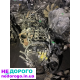 Двигун SH 2.2td Mazda CX5 2013—, об'єм 2.2 л, дизель. З Японії.
