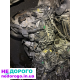 Двигун SH 2.2td Mazda CX5 2013—, об'єм 2.2 л, дизель. З Японії.