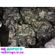 Двигун SH 2.2td Mazda CX5 2013—, об'єм 2.2 л, дизель. З Японії.