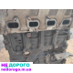 Двигун Skoda Fabia 2 1.6cdti CAYA 2009, 1.6 л дизель.