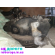 Двигун Volkswagen Polo 1.4, 2015, 1.4 л, бензин.