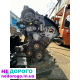 Двигун Toyota 1CD, 2000 р., 2.0 л, дизель, ідеальний стан.