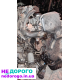 Двигун Toyota 5S-FE 2.2л для Camry 91-96р. Надійний, економічний, бензин.