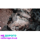 Двигун Toyota 5S-FE 2.2л для Camry 91-96р. Надійний, економічний, бензин.