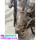 Двигун Toyota 1GR-FE для Land Cruiser Prado 150 та 4Runner 4.0, 2009 рік, бензин, об'єм 4.0 л.