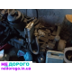 Двигун Mitsubishi 4G63, 2005 р., 2.0 л, бензин, з коробкою передач.