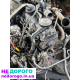 Двигун VW Golf 3 1.9 TDI 1Z, Seat Toledo, 1992, 1.9 л, дизель.