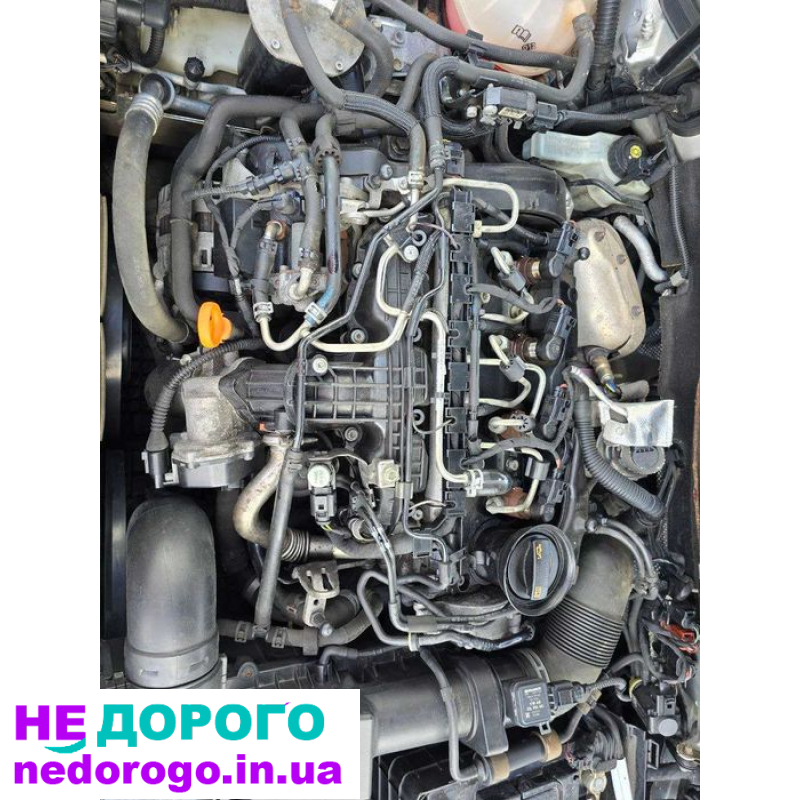 Двигун VW Passat B7 1.6 TDI CAY, Touran Golf 6, 2011, 1.6 л, дизель.