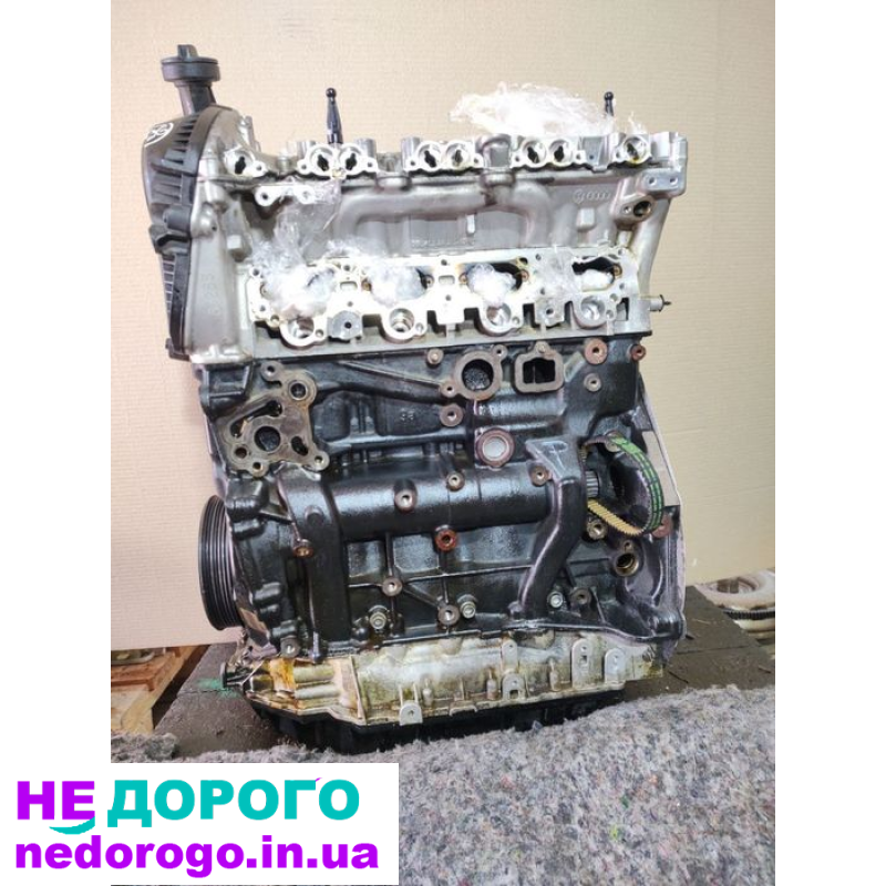 Двигун VW Tiguan 2.0 DGUA USA 2019 2.0 л бензин.
