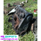 Двигун Opel Kadet E 1.3, 1984, 1.3 л, бензин.