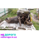 Двигун 1.3 з коробкою