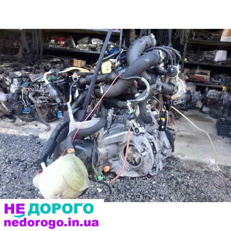 Двигун Renault 1,5K9K Euro3 від Delphi, модель - Рено, рік випуску невідомий, об'єм - 1,5 л, паливо - дизель.