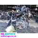 Двигун Renault 1,5K9K Euro3 від Delphi, модель - Рено, рік випуску невідомий, об'єм - 1,5 л, паливо - дизель.