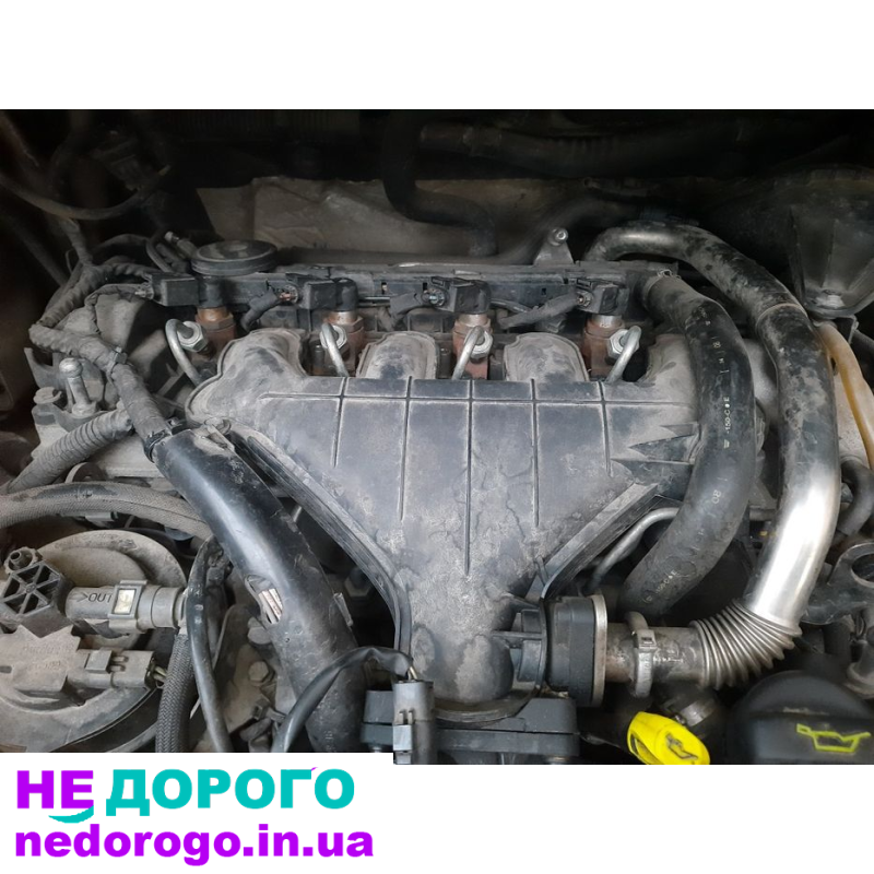 Двигун 1.6, 1.9, 2.0 для Fiat Scudo, Peugeot Expert, Citroen Jumpy 95-13 р. Об'єм, паливо, модель, рік випуску.