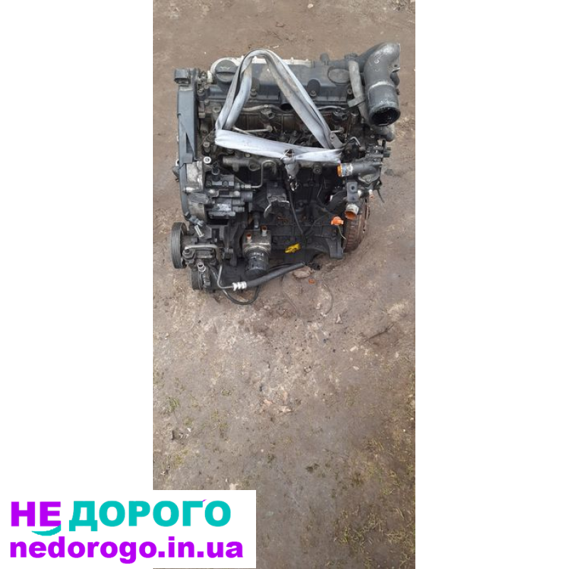 Двигун 1.6, 1.9, 2.0 для Fiat Scudo, Peugeot Expert, Citroen Jumpy 95-13 р. Об'єм, паливо, модель, рік випуску.