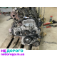 Двигун 1.6 CRDi D4FB для Kia Ceed, Soul, Hyundai i30, випущений в Україні. Дизельний двигун з об'ємом 1.6 літра.