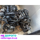 Двигун 1.6 HDi 16V E4 9HZ DV6TED4 Citroen Berlingo B9, 2008, дизель, 1560 см³.